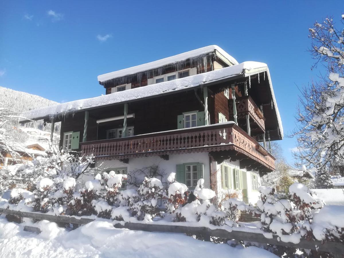 Villa Zeppelin - App Bergkristall Брамберг-ам-Вильдкогель Экстерьер фото